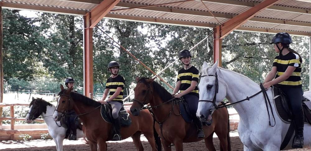 Cours équitation à Sallebœuf