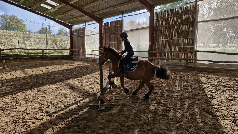 Stage équitation à Sallebœuf